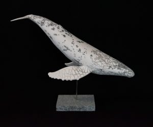 Baleine à bosse en plongée