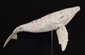 Baleine à bosse sous la surface