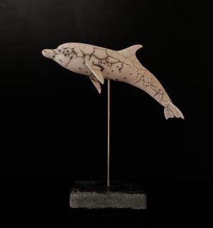 Dauphin sous la surface