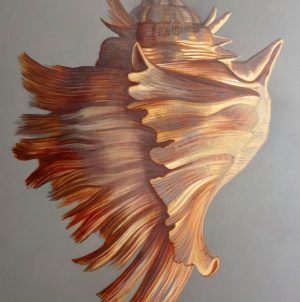 Coquillage I