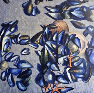 Coquilles