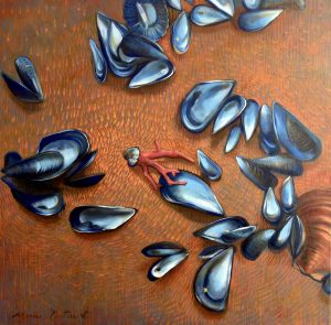 Coquilles et corail