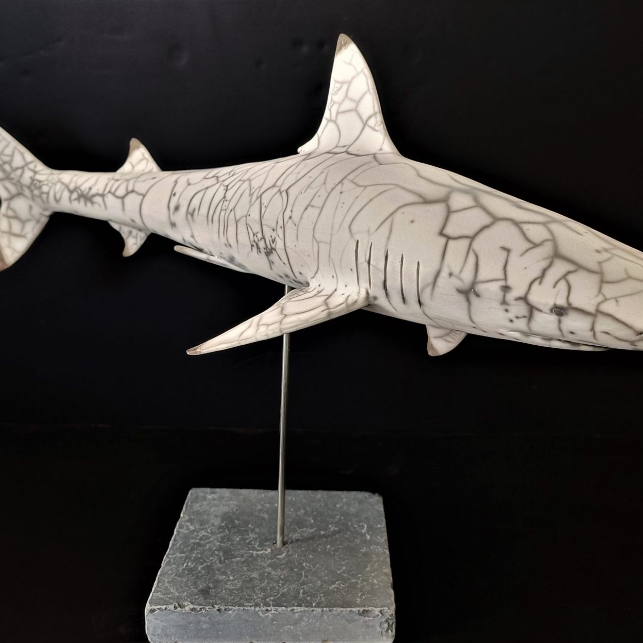 REQUIN POINTES NOIRES - Laurent Yvelin- Raku Nu - 58x37x20cm sculpturen requin galerie d'art maritime l'art des marines rouen